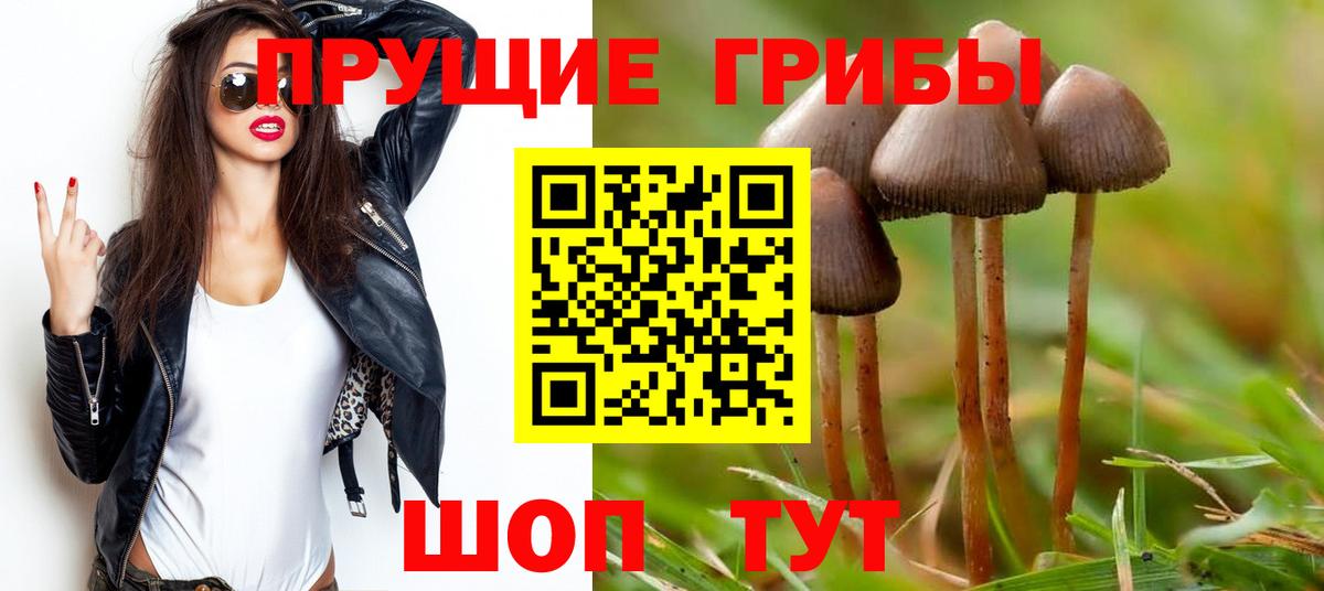 Лобня  Галлюциногенные грибы Magic Shrooms  Вход с VPN 